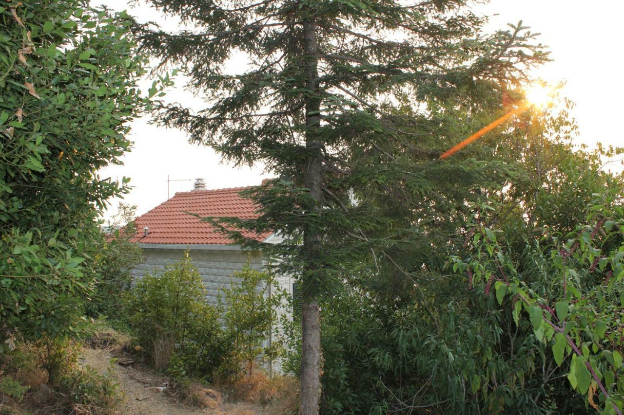 I Sassi Bianchi - East Villa Cavtat Exteriér fotografie